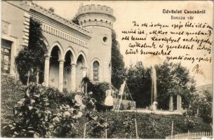 1913 Csucsa, Ciucea; Boncza vár (Ady kastély) / castle (b)