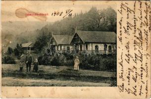 1908 Málnásfürdő, Malnas Bai; Eötvös villa. Adler fényirda (vágott / cut)