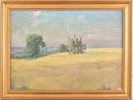 Szontágh Tibor (1873-1930): Dombos táj (kétoldalas mű, hátoldalán napos tájrészlet). Olaj, karton, jelzett. Dekoratív fakeretben. 33×46 cm.