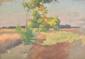 Szontágh Tibor (1873-1930): Dombos táj (kétoldalas mű, hátoldalán napos tájrészlet). Olaj, karton, j...