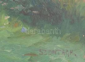 Szontágh Tibor (1873-1930): Zöldellő táj. Olaj, karton, jelzett. Dekoratív fakeretben. 25,5×35,5 cm
