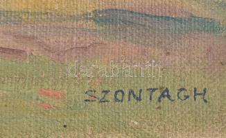 Szontágh Tibor (1873-1930): Őszi táj. Olaj, vászon, jelzett. Dekoratív, kissé sérült fakeretben. 35,...