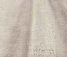 Szontágh Tibor (1873-1930): Csendélet. Olaj, vászon, jelzett. Sérült. Dekoratív fakeretben. 60×50 cm