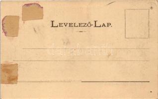 Kolozsvár, Cluj; Felsőbb leányiskola. Dunky Fivérek cs. és kir. udvari fényképészek / girls' sc...