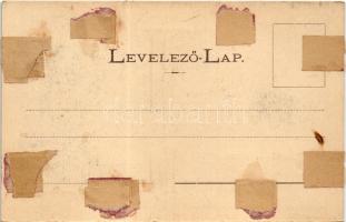 Kolozsvár, Cluj; Fellegvár oldala a Kis-Szamos mellett. Dunky Fivérek cs. és kir. udvari fényképésze...