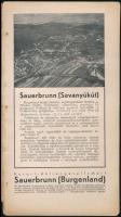 cca 1930 Toborzás az osztrák gyógy- és fürdőhelyekre, képekkel illusztrált ismertető prospektus, 64p