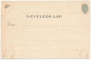 Zimony, Semlin, Zemun; Millenniums-Denkmal / Millenniumi emlékmű / Hungarian Millennium Monument. Ve...