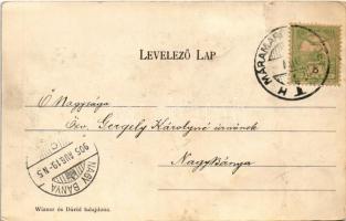 1905 Gyertyánliget, Polyána-Gyertyánliget, Kabola Polyána, Kobyletska Poliana (Máramaros, Maramures)...