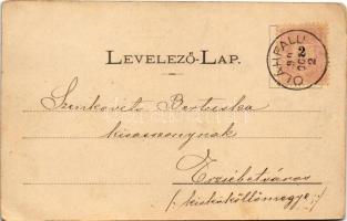 1905 Kisszeben, Sabinov; látkép. Stehr Gusztáv kiadása / general view (EK)