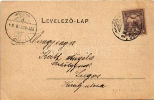 1901 Kaposvár, Fő utca, Vicze László üzlete (kis szakadás / small tear)