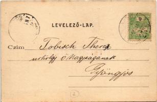 Budapest VI. Állami felsőbb leányiskola, Andrássy út 65. Lohonyai J. kiadása