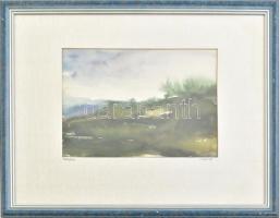 Lengyel jelzéssel: Budakalász környéki táj, 1993. Akvarell, papír. Üvegezett fakeretben. 16,5x24 cm