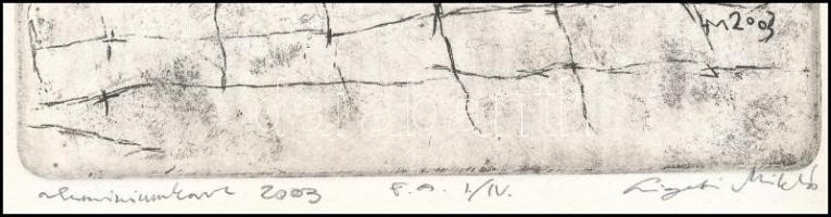 Ligeti Miklós (1982-): Hajók, 2003. Alumímiunkarc, papír, jelzett, művészpéldány E.A. I./IV. számozá...