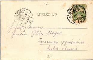 1905 Budapest VII. Izabella utca és Magyar színház, vendéglő. Divald Károly 211. (EK)