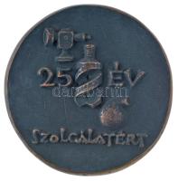 Madarassy Walter (1909-1994) DN "Földmérő és Talajvizsgáló Vállalat / 25 év szolgálatért" ...