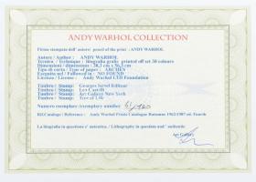 Andy Warhol (1928-1987): Marylin Monroe. Ofszet litográfia, papír. Sorszámozott: 61/100, jelzett a n...