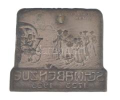 Ausztria 1923. "Svábvándorlás" ezüstözött bronzlemez kitűző, "L. Pramer Wien IX"...