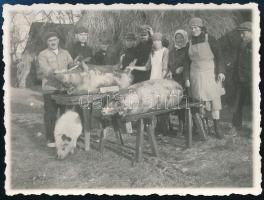 1931 Disznóvágás Bicskén Szárazéknál, hátoldalon feliratozott fotó, szép állapotban, 6,5×8,5 cm