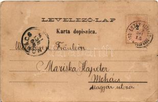 1899 (Vorläufer) Eszék, Essegg, Osijek; Oba dravska mosta / Die beiden Draubrücken / Dráva híd és va...