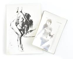 13 db fekete-fehér fotó erotikus naptárképekről és grafikákról, 9,5x6,5 cm és 13x9 cm méretben