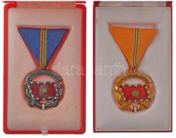 ~1950-1960. "A Haza Szolgálatáért Érdemérem" arany és ezüst fokozata, aranyozott, ezüstözö...