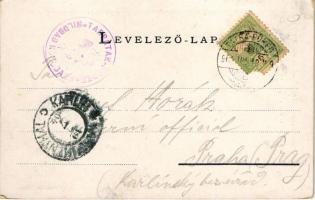 Tátra, Magas-Tátra, Vysoké Tatry; Nagy-Tarpatak középső vízesése. Cattarino kiadása / Gross-Kohlbach...