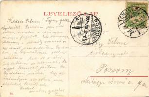 1907 Temesvár, Timisoara; Régi vár, színház. 56. (W.L. ?) / Teil der alten Festung / castle, theatre...