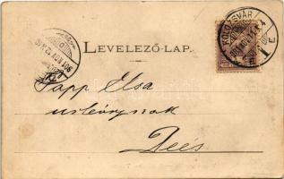 1901 Temesvár, Timisoara; Városi színház / Städtisches Theater / theatre (EK)