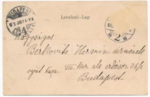 1903 Szatmárnémeti, Szatmár, Satu Mare; Színház, hintó. Reizer János kiadása. Szecessziós virágos li...