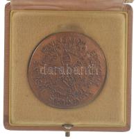 Vatikán 1970. "VI. Pál pápa" kétoldalas bronz emlékérem eredeti, pápai címerrel ellátott d...