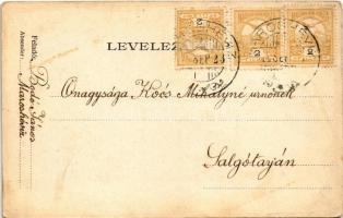 Maroshévíz, Oláhtoplica, Toplita, Toplica; kastély, kúria / castle, villa (EK)