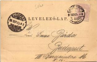 1898 (Vorläufer) Szászváros, Broos, Orastie; Lövölde vendéglő, étterem kertje pincérekkel és vendége...