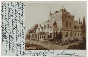 1901 Elecske, Alaxinetz, Aleksince; Dezasse kastély / castle. photo