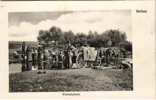 Nagydisznód, Heltau, Cisnadie; Wollwäscherei / Gyapjú mosoda, erdélyi folklór / wool laundry, Transylvanian folklore