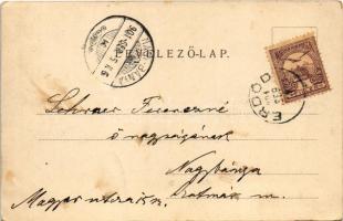 1901 Erdőd, Károlyierdőd, Ardud (Szatmár); Szatmár-Erdődi helyiérdekű vasút, Petőfi emlék, Erdődvár....