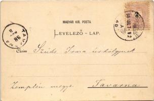 1898 (Vorläufer) Medgyes, Mediasch, Medias; torony, utca, látkép. G. A. Reissenberger kiadása / towe...