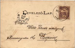 1901 Báziás, vasútállomás, kikötő, MFTR gőzhajó utasokkal / railway station, port, steamship with pa...