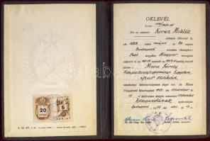 1955 Koren Miklós közgazdász diplomája / Miklos Koren economsist`s university degree