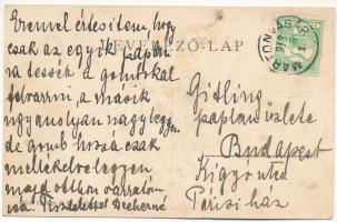 1912 Martonvásár, Dreher kastély. Dreherné levele (ázott / wet damage)