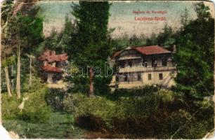 Lucsivna, Lautschburg, Lucivná (Magas-Tátra, Vysoké Tatry); Lucsivnafüred, Lucsivna-fürdő. Neptun nyaraló és vendéglő, étterem / spa resort, villa and restaurant (b)