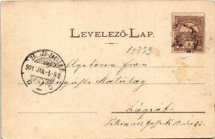 1901 Bártfa, Bártfafürdő, Bardejovské Kúpele, Bardiov, Bardejov; Mignon villa. Divald Adolf 107. / v...