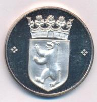 Németország ~1991. "Brandenburgi kapu, Berlin" kétoldalas jelzett Ag emlékérem (30,08g/986...