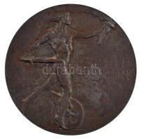 Német Birodalom ~1914-1918. "Paul von Breitenbach / 1914" kétoldalas Fe emlékérem (50mm) T...