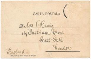 Braila, Vederea Generala / general view. Art Nouveau, litho with Romanian flag (EB)