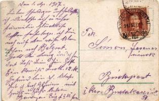 1917 Brod, Bosanski Brod; Parobrodarska agencija / Dampfschiffahrts Agentie / Steamship agency (EK) ...