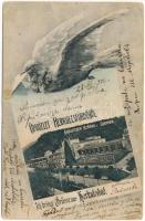 1906 Herkulesfürdő, Herkulesbad, Baile Herculane; Gyógyterem sétánya. Eberle Keresztély kiadása Montázs galambbal / Curpark / spa, promenade. Montage with dove (fa)