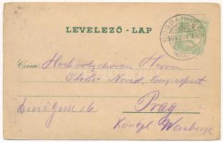 1906 Rigósfürdő, Bogda-Rigós-fürdő, Bogdarigós, Bogda; látkép, kápolna, vendéglő, étterem, fürdő épü...