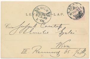1899 (Vorläufer) Arad, Margit villa. Lith. Réthy L. és Fia / villa. Art Nouveau, floral, litho