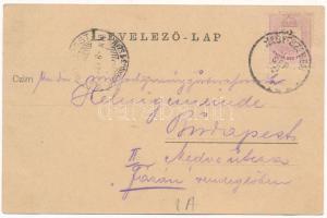 1897 (Vorläufer!) Grüss aus den Siebenbürgischen Karpathen! Negoi-Schutzhütten, Kurhaus auf der Hohe...