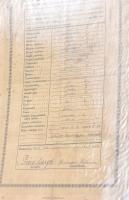 Két albumnyi vegyes okmány gyűjtemény az 1700-as évektől igényes oklevél berakókban